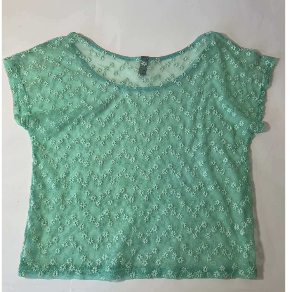 Mint Green Sheer Floral‎ Mesh Embroidered Short Sleeve Scoop Neck Top fairycore